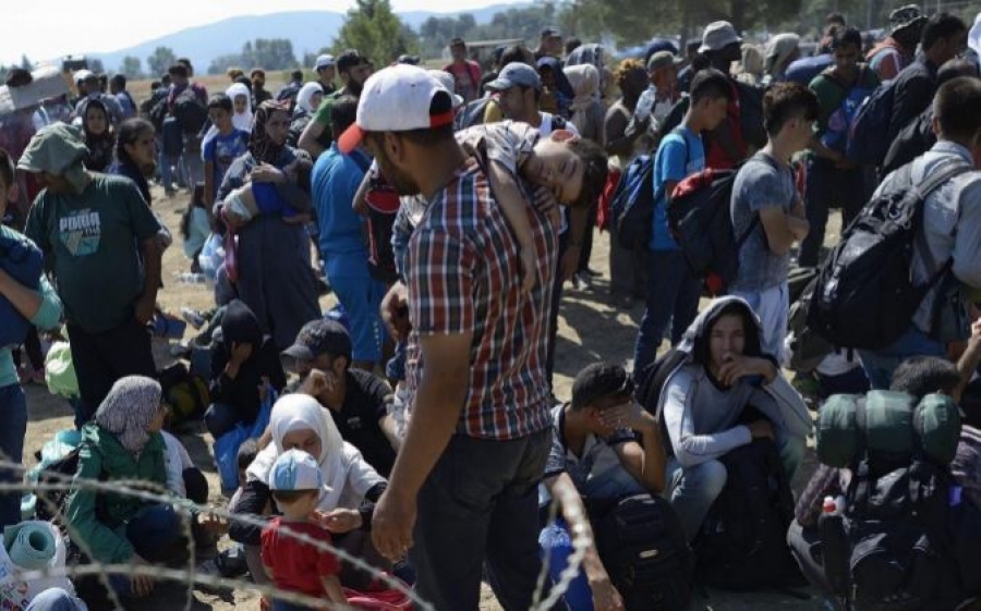 La Iglesia alemana: &laquo;El cuidado de los refugiados es parte de nuestra identidad cristiana&raquo;