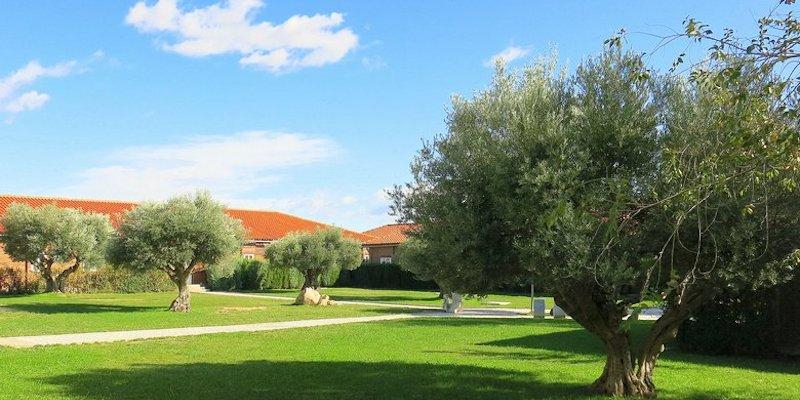 Santa Eugenia de Villa de Vallecas organiza un campo de trabajo para jóvenes en la casa del Verbum Dei de Loeches