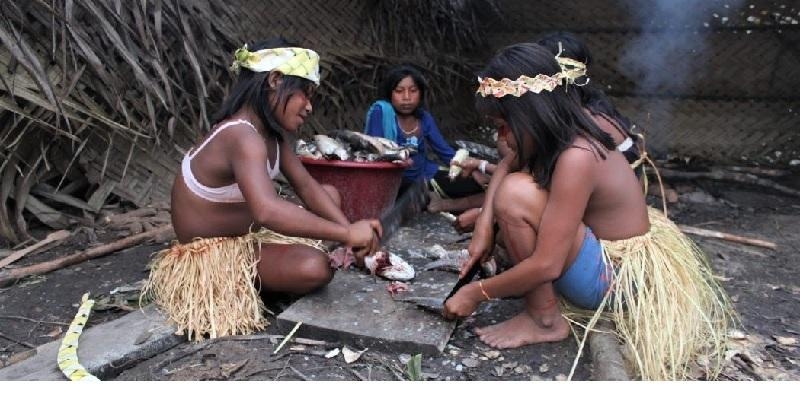 'Enl&aacute;zate por la justicia' apoya la denuncia del Consejo Ind&iacute;gena Misionero de Brasil sobre el permiso de acceso a las poblaciones y territorios aislados