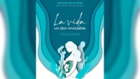 Jornada por la Vida: Manifiesto ante la propuesta de reforma constitucional para incluir el derecho al aborto