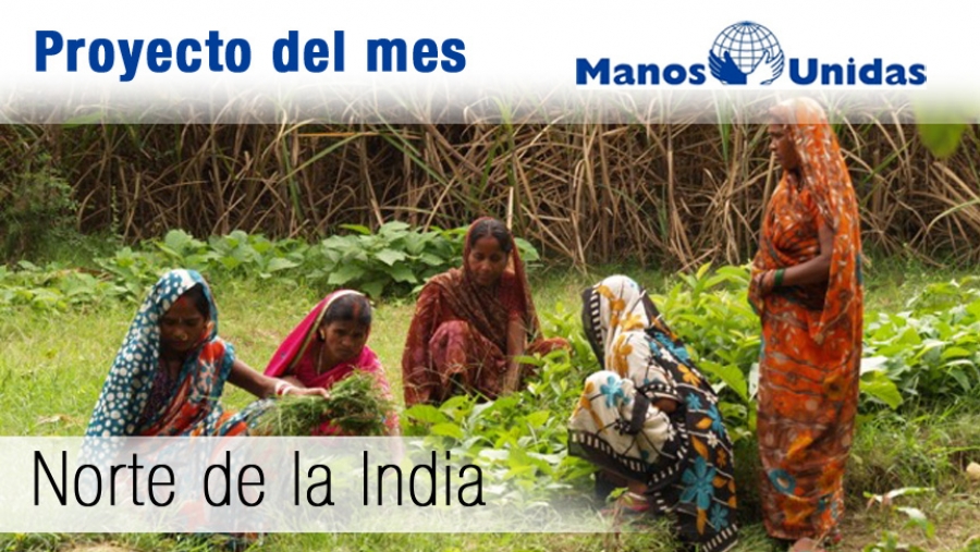 M&aacute;s de 3.000 agricultores indios se benefician de la ayuda de la di&oacute;cesis