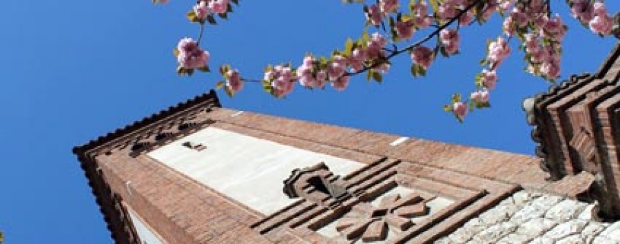 Celebración Ecuménica en la Parroquia Anglicana de Saint George