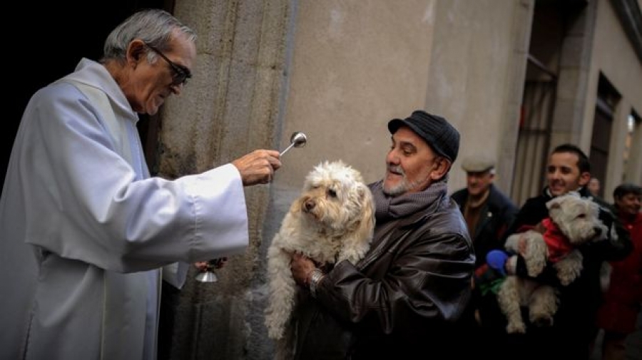 Bendici&oacute;n de mascotas en la parroquia Beata Mar&iacute;a Ana Mogas