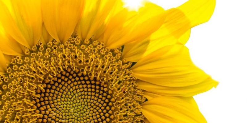 La Escuela Regina Apostolorum ofrece claves para reinterpretar la vida consagrada de nuestro tiempo