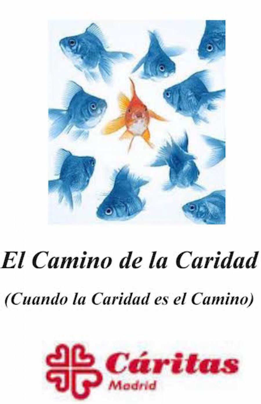 Semana formativa en C&aacute;ritas Vicar&iacute;a V