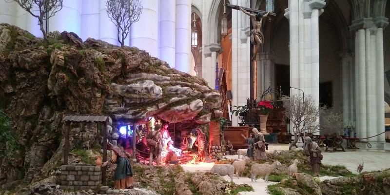 Continúan las celebraciones navideñas de la catedral