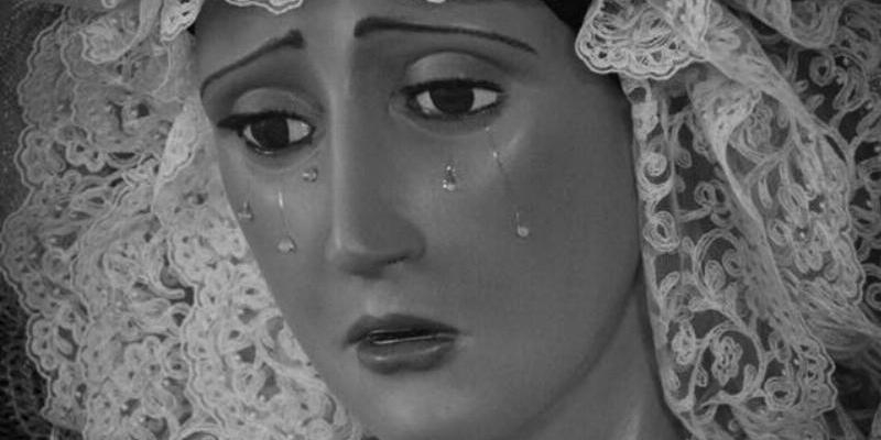 Santa María Josefa del Corazón de Jesús festeja a la Candelaria con bendición de madres embarazadas