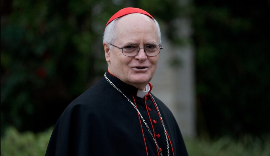 Cardenal alerta ante peligro del aborto y la eugenesia en casos de microcefalia