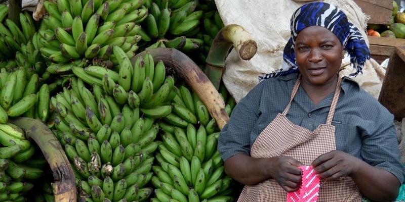Manos Unidas destin&oacute; cerca de 36 millones de euros a proyectos de desarrollo en &Aacute;frica, Am&eacute;rica y Asia