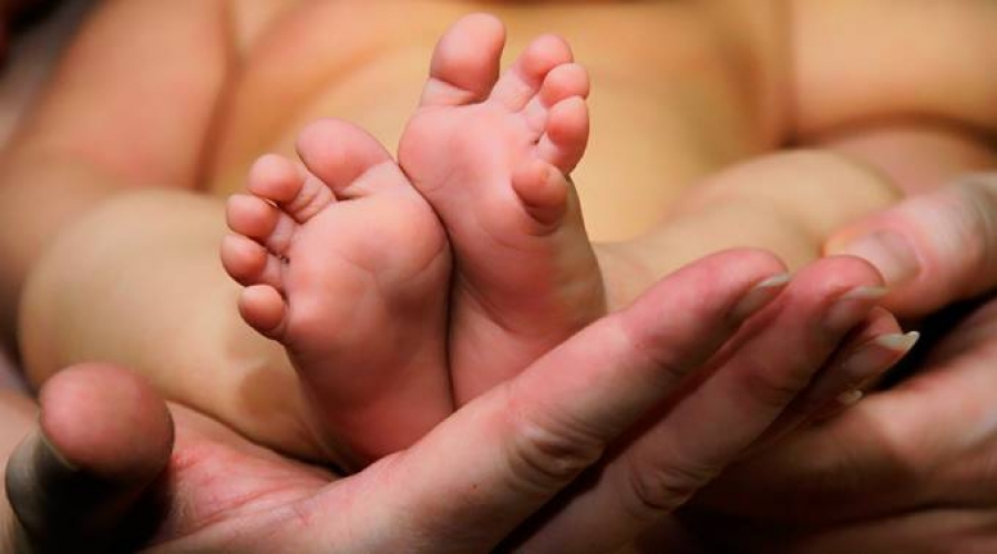 &iquest;Es &eacute;tico crear a un &laquo;beb&eacute; de tres padres&raquo;? Expertos advierten peligros