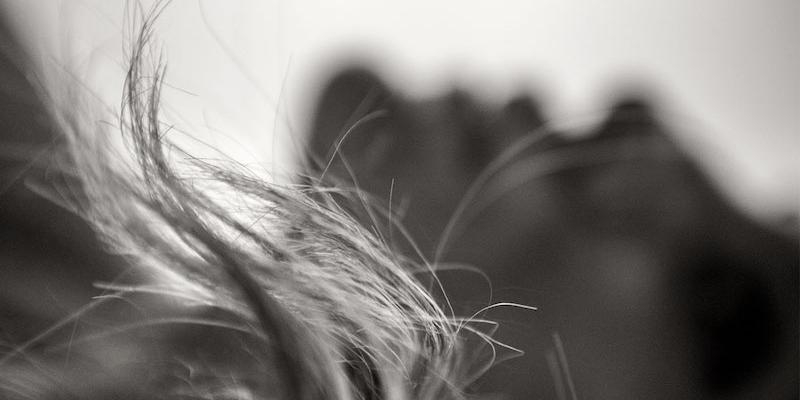 Forma Antiqua ofrece un concierto en la bas&iacute;lica pontificia de San Miguel