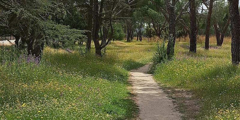 Asunción de Nuestra Señora de Torrelodones acoge la presentación de &#039;Tú, sígueme. Caminar con el Evangelio&#039;