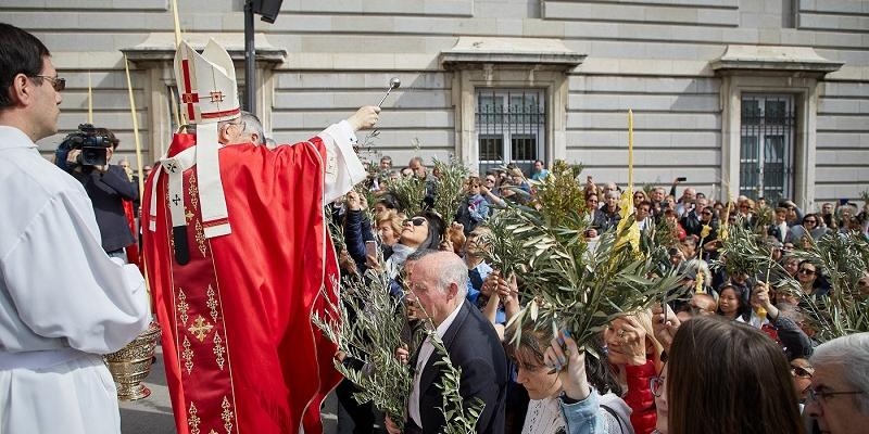 El cardenal Osoro, en el Domingo de Ramos: &laquo;Jes&uacute;s viene a abrirnos un camino de paz y de amor para la familia humana&raquo;