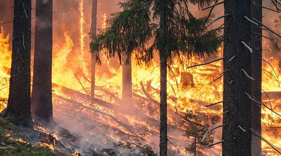 Obispos de Estados Unidos rezan por afectados en incendios de California