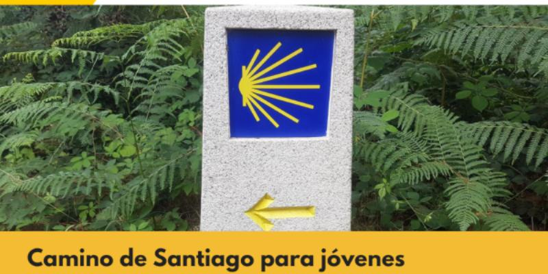 Santa Teresa Benedicta de la Cruz peregrina en julio con jóvenes por el Camino de Santiago