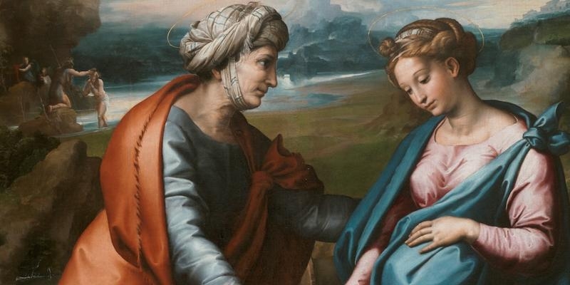 El capell&aacute;n de Derecho impone el escapulario en la solemnidad de la Visitaci&oacute;n