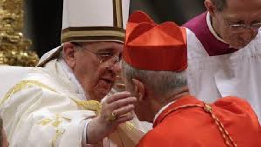 Cardenal Poli: &ldquo;El gran mensaje del Papa es pensar en la fraternidad de la familia humana&rdquo;