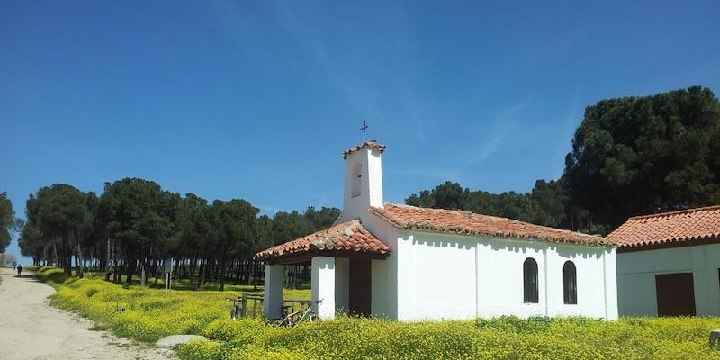 Alcobendas honra a san Isidro Labrador con una romer&iacute;a con Eucarist&iacute;a y bendici&oacute;n de los campos