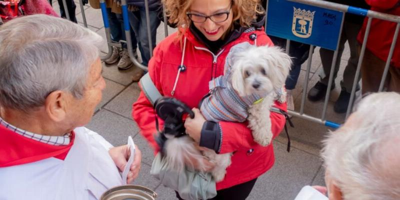 San Ant&oacute;n celebra la fiesta del patr&oacute;n de los animales con la tradicional venta de panecillos y bendici&oacute;n de mascotas