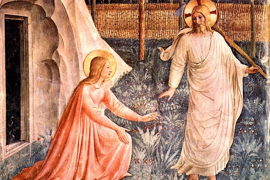 Plenaria del Di&aacute;logo Interreligioso con el tema: la mujer como educadora de fraternidad