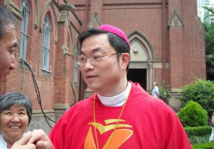 Papa Francisco y Santa Sede prudentes por declaraciones de obispo chino