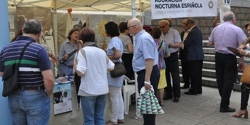 La solemnidad de Pentecostés, Día de la Acción Católica y del Apostolado Seglar, nos recuerda nuestra vocación laical: «Estamos llamados a llevar esperanza»