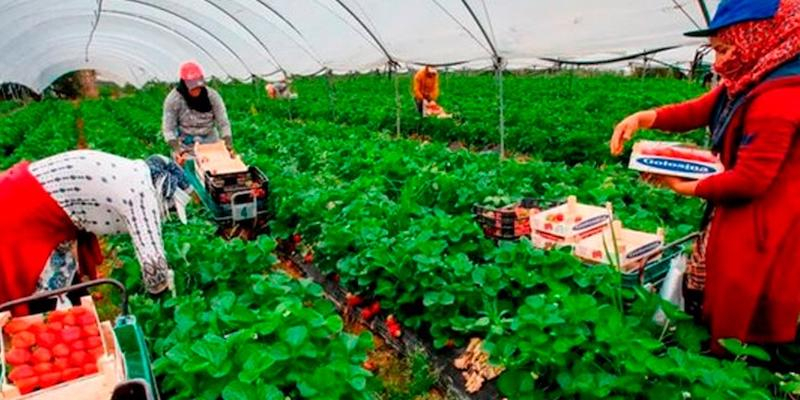 III Seminario Antonio Algora, &#039;La Pastoral del Trabajo en el acompañamiento a las personas migrantes&#039;
