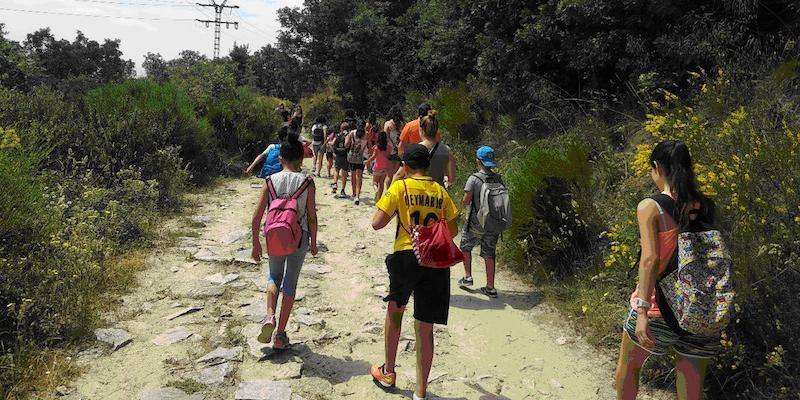 Crece en un 15% la participaci&oacute;n de los menores en las colonias y campamentos de verano de C&aacute;ritas Diocesana de Madrid