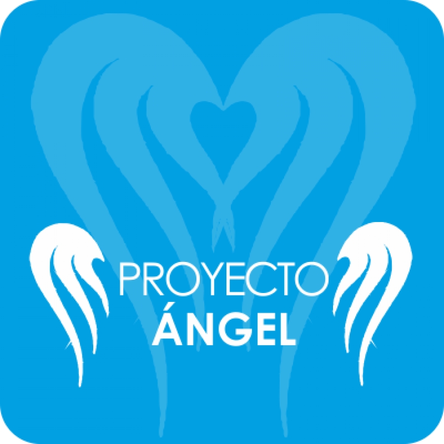 Spei Mater organiza un curso de capacitaci&oacute;n para el Proyecto &Aacute;ngel