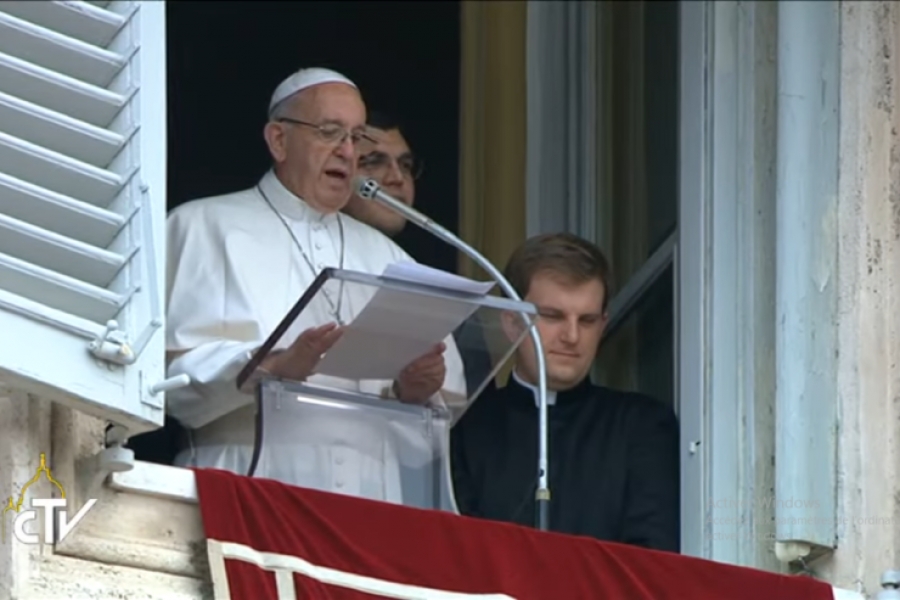 El Papa saluda el trabajo de la asociaci&oacute;n Meter para la protecci&oacute;n de los ni&ntilde;os