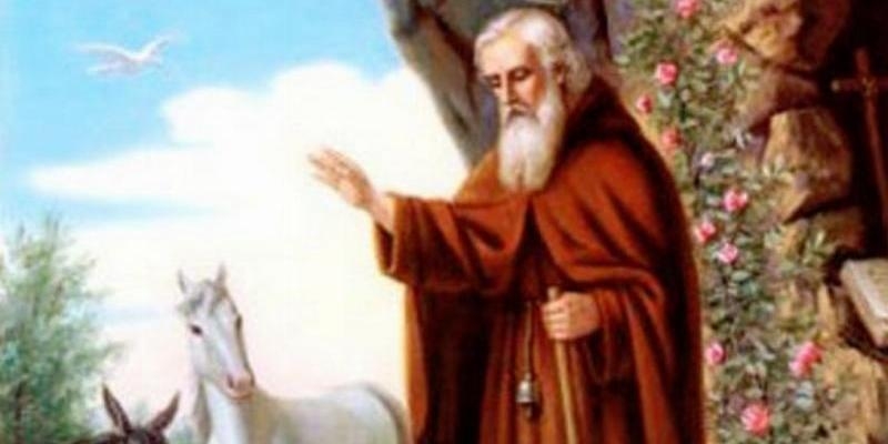 Santa Teresa Benedicta de la Cruz honra a san Antón con bendición de mascotas