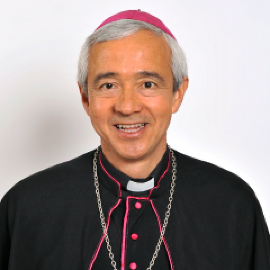 Autoridad vaticana pide cuidar la familia porque ah&iacute; nacen las vocaciones