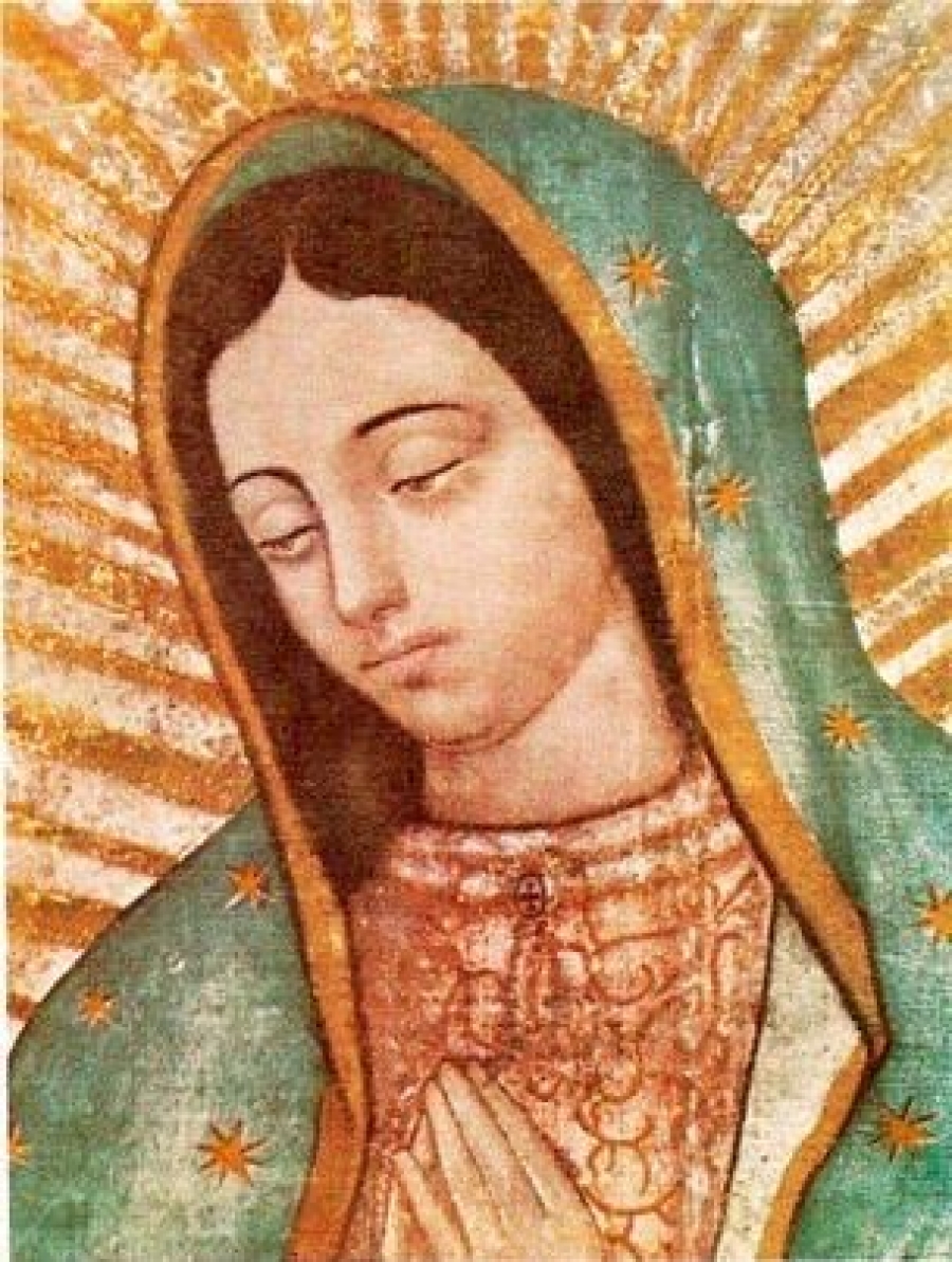 Francisco presidir&aacute; en el Vaticano la misa de Nuestra Se&ntilde;ora de Guadalupe