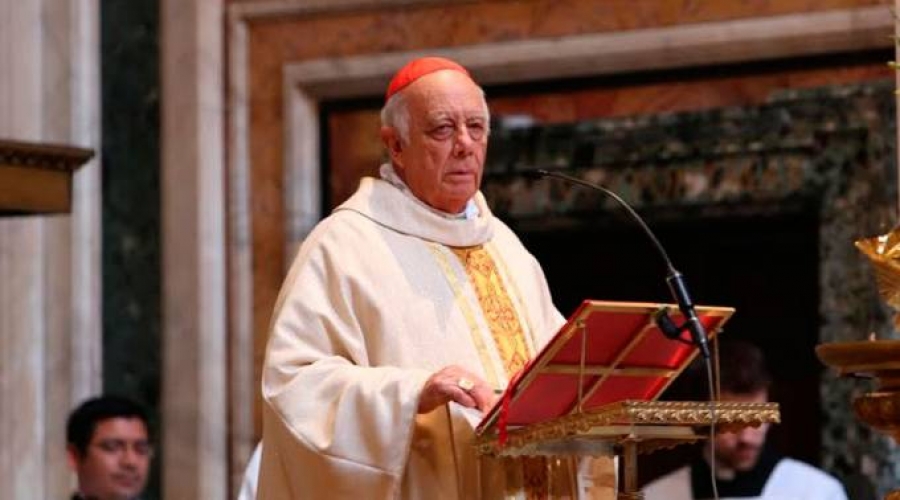 Cardenal propone 3 claves para luchar contra el c&aacute;ncer de la violencia en M&eacute;xico