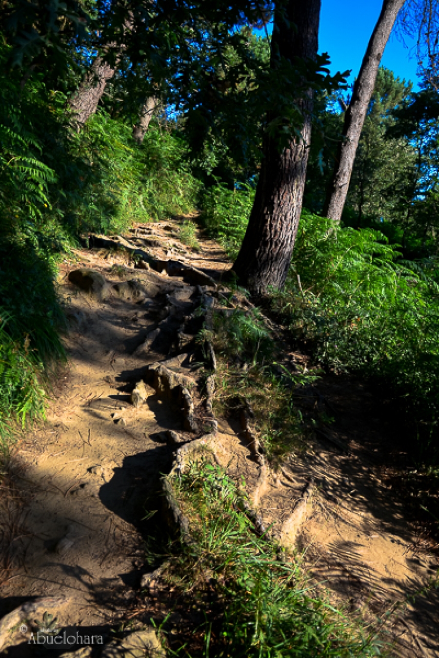Salida del grupo &lsquo;Al monte&rsquo; de la Casa de Acogida