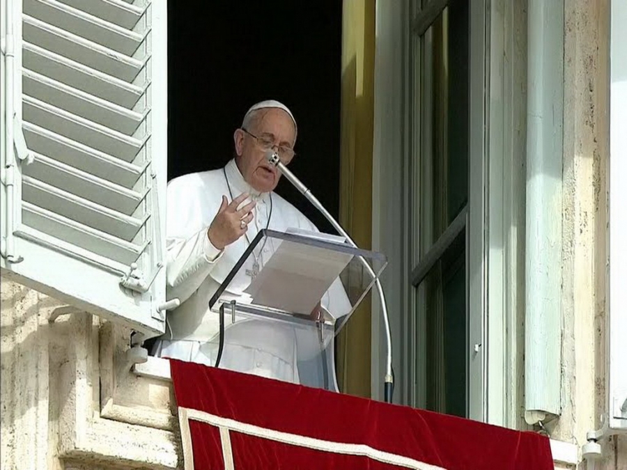 Audiencia general: El alcance universal de la familia