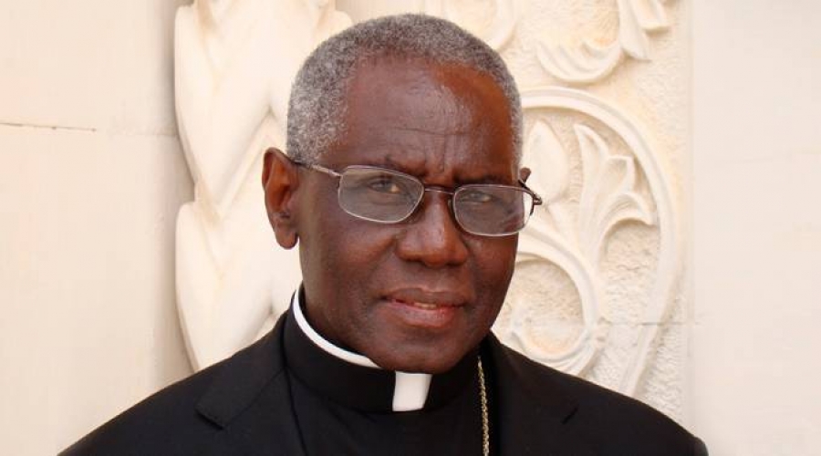 Cardenal Robert Sarah: Busquemos siempre la devoci&oacute;n a Mar&iacute;a