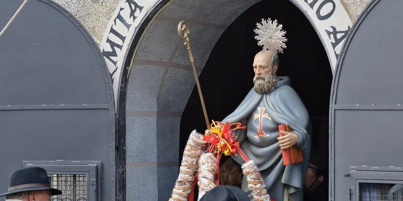 Parroquias de la di&oacute;cesis bendicen animales en la fiesta de san Ant&oacute;n