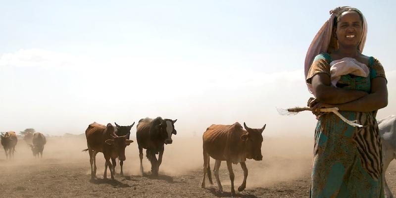 C&aacute;ritas publica &laquo;Ampliar la Mirada&raquo;, un documento que recoge su visi&oacute;n sobre el cuidado de la Creaci&oacute;n