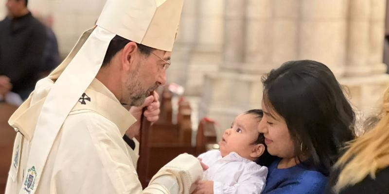 El cardenal Cobo pide apostar por la vida y acogerla «como el gran regalo de Dios»: «Que nadie experimente la soledad y el abandono»