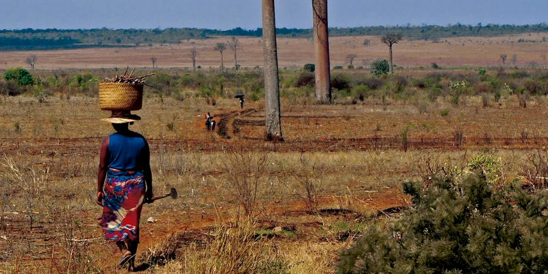 El cardenal Cobo invita a colaborar con Manos Unidas &laquo;para seguir paliando el hambre material y espiritual de la humanidad&raquo;