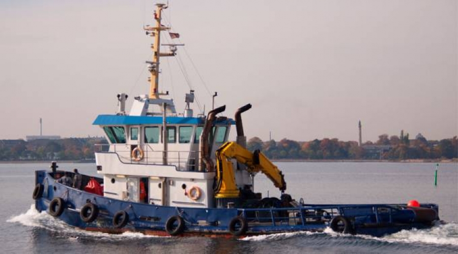 Cardenal Turkson pide que se garanticen los derechos de los marineros
