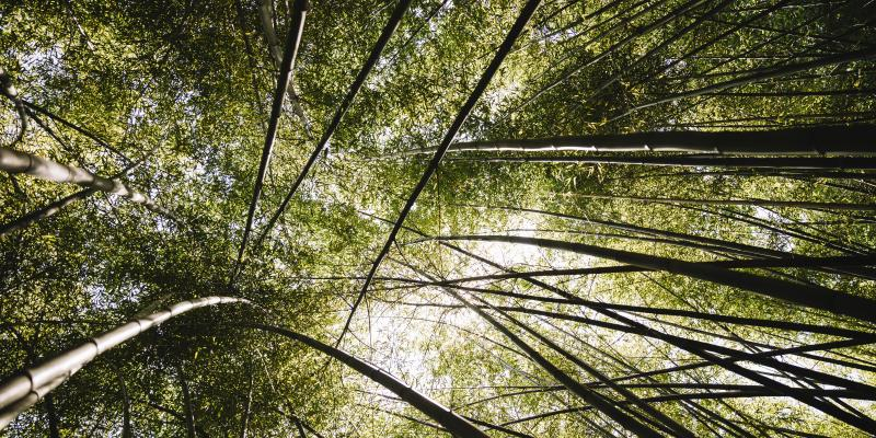 Clase de la Escuela Itinerante de Formaci&oacute;n Social: 'El ser y el hacer eclesial en la defensa de la casa com&uacute;n'