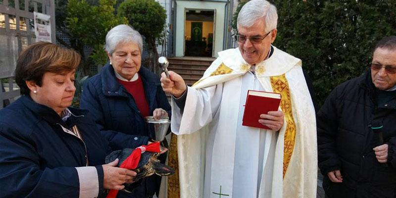 San Ant&oacute;n, la ocasi&oacute;n para alabar y dar gracias a Dios &laquo;por las criaturas que comparten nuestra vida&raquo;