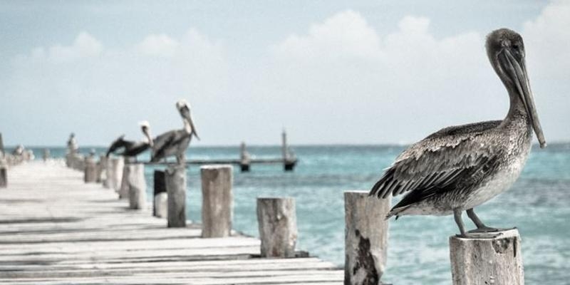 Comuni&oacute;n y Liberaci&oacute;n Espa&ntilde;a presenta su manifiesto de cara a las elecciones