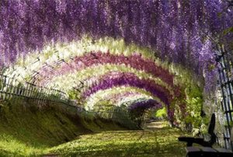 Tandas de ejercicios espirituales para j&oacute;venes