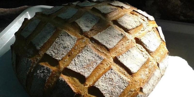 C&aacute;ritas apuesta por un acceso al derecho a la alimentaci&oacute;n que dignifique a las personas y respete su autonom&iacute;a