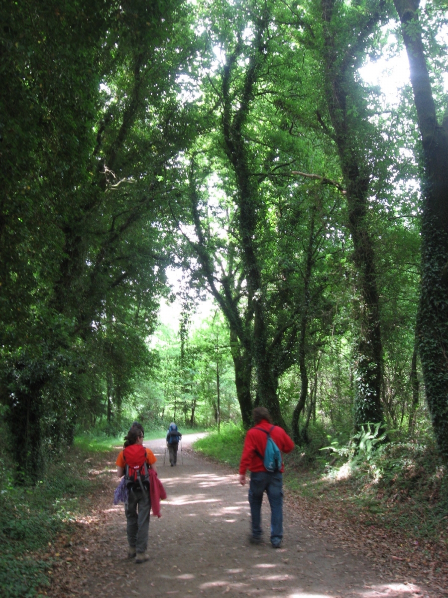 Nueva salida del grupo 'Al-monte' de la casa de acogida de C&aacute;ritas Madrid