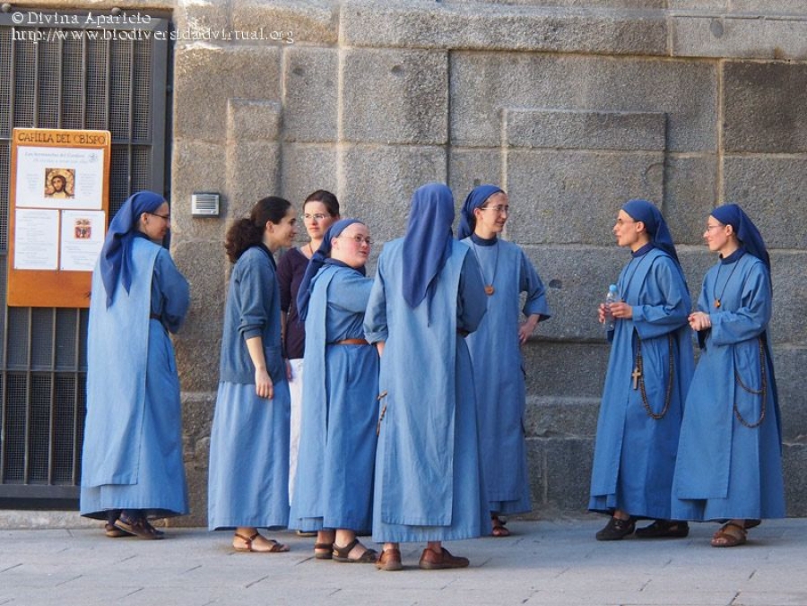 Misi&oacute;n de las Hermanitas del Cordero