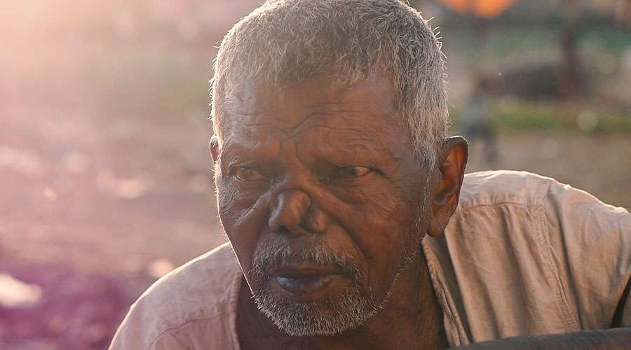 El Santo Padre expresa su cercanía a las personas enfermas de lepra